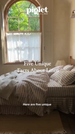 Piglet in Bed ad